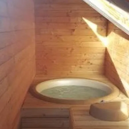 Appartement Spacieux Avec Wi-fi Et Garage - Fr-1-671-241 Les Gets
